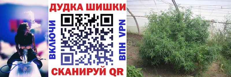 Продажа наркотиков Южно-Сухокумск Бошки Шишки  Альфа ПВП  ГАШИШ  Меф  Амфетамин  Cocaine 