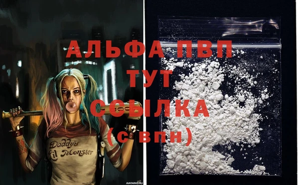 дживик Бородино