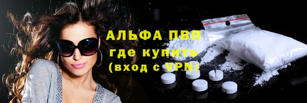 дживик Бородино