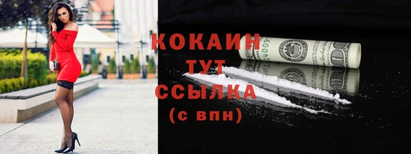 дживик Бородино