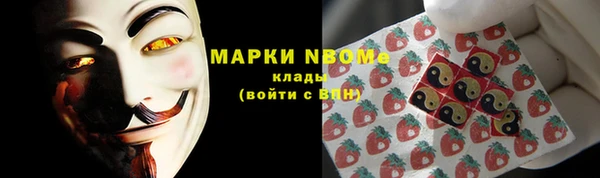 дживик Бородино