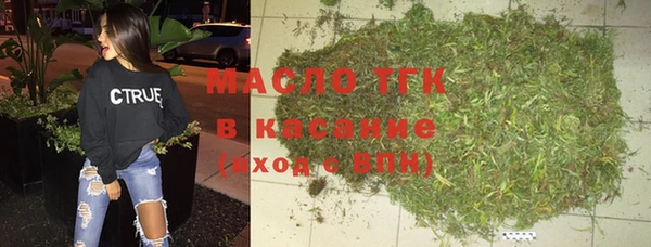дживик Бородино
