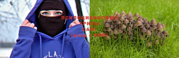 трава Бугульма